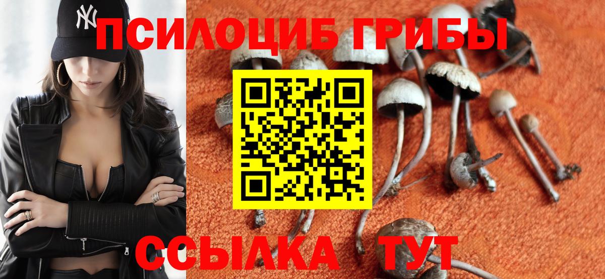 Галлюциногенные грибы мухоморы  Вход с VPN  Южноуральск 